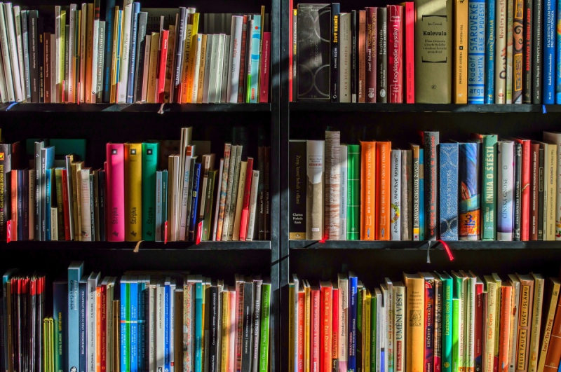 boutique-HYERES-min_books_bookstore_book_reading_shop_writer_sale_books_read-822866